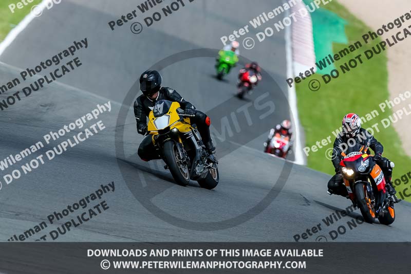 PJ Motorsport 2019;donington no limits trackday;donington park photographs;donington trackday photographs;no limits trackdays;peter wileman photography;trackday digital images;trackday photos